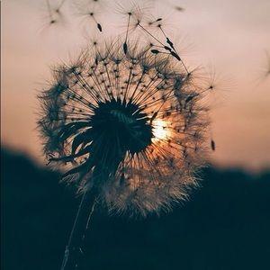 Meet your Posher, Mckenzie